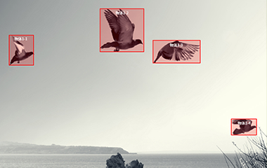 新城平台登录视频标注